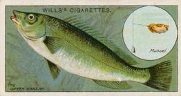 1910 Wills's Cigarettes Fish & Bait #13 Wrasse Front