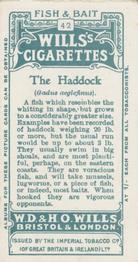 1910 Wills's Cigarettes Fish & Bait #42 Haddock Back