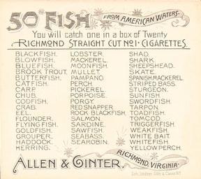 1889 Allen & Ginter 50 Fish from American Waters (N39) #NNO Butterfish Back
