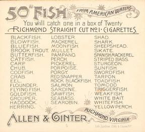 1889 Allen & Ginter 50 Fish from American Waters (N39) #NNO Eel Back