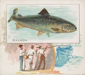 1889 Allen & Ginter 50 Fish from American Waters (N39) #NNO Salmon Front