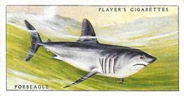 1935 Player's Sea Fishes #1 Porbeagle Front
