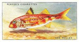 1935 Player's Sea Fishes #26 Red Mullet Front