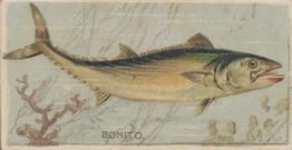 1888 Duke's Fishers and Fish (N74) #NNO Bonito Front