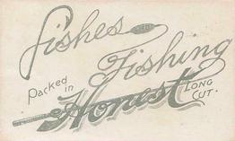 1888 W. Duke, Sons & Co. Fishes and Fishing (N108) #NNO Blue Fish / Sturgeon Back