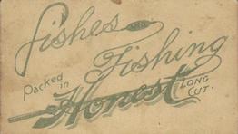 1888 W. Duke, Sons & Co. Fishes and Fishing (N108) #NNO California Salmon / Lamprey Eel Back