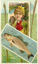 1888 W. Duke, Sons & Co. Fishes and Fishing (N108) #NNO Striped Bass / Globe Fish Front