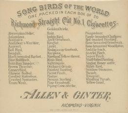 1890 Allen & Ginter Song Birds of the World (N42) #NNO Canary Bird Back