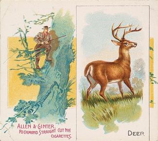 1890 Allen & Ginter Quadrupeds (N41) #NNO Deer Front