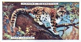 1924 Player's Natural History (Small) #26 Snow Leopard or Ounce Front