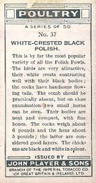 1931 Player's Poultry #37 White-Crested Black Polish Back