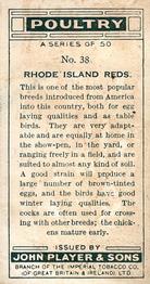 1931 Player's Poultry #38 Rhode Island Reds Back