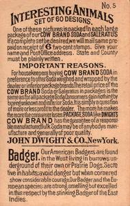 1898 Dwight's Soda Interesting Animals (J10) #5 Badger Back