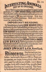 1898 Dwight's Soda Interesting Animals (J10) #38 Rhinoceros Back