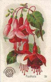 1895 Arm & Hammer Beautiful Flowers (J16 Large) #39 Fuschia Front
