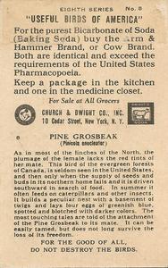 1935 Church & Dwight Useful Birds of America Eighth Series (J9-4) #8 Pine Grosbeak Back