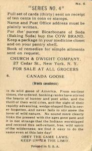 1924 Church & Dwight Useful Birds of America Fourth Series (J8) #6 Canada Goose Back