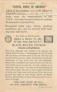 1938 Church & Dwight Useful Birds of America Tenth Series (J9-6) #4 Black-billed Cuckoo Back