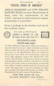 1938 Church & Dwight Useful Birds of America Tenth Series (J9-6) #1 Meadowlark Back