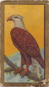 1910 American Tobacco Bird Series (T42) #NNO American Eagle Front