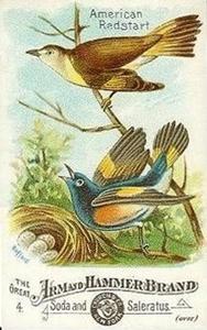 1886 Beautiful Birds of America (J1) #4 American Redstart Front