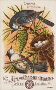 1886 Beautiful Birds of America (J1) #27 Crested Titmouse Front
