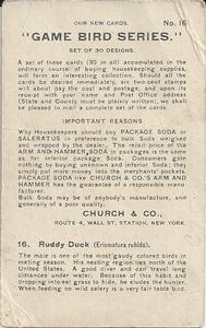1904 Church & Co. Game Bird Series (J3) #16 Ruddy Duck Back