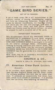 1904 Church & Co. Game Bird Series (J3) #17 American Eider Duck Back