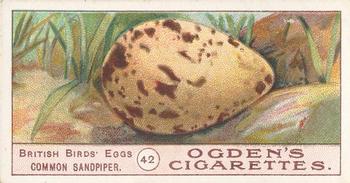 1908 Ogden's Cigarettes British Birds' Eggs #42 Common Sandpiper Front