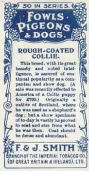 1908 Studio Fowls, Pigeons & Dogs #37 Rough-Coated Collie Back