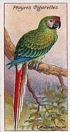 1909 Player's Nature Series #9 Military Macaw Front