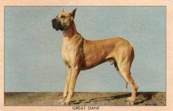 1950 Quaker Oats Challenge of the Yukon Dogs (F279-5) #NNO Great Dane Front