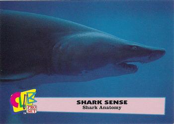 1992 Club Pro Set Shark Sense #2 Shark Anatomy Front