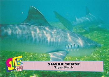 1992 Club Pro Set Shark Sense #5 Tiger Shark Front