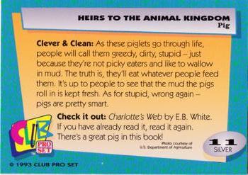 1992 Club Pro Set Heirs to the Animal Kingdom - Silver #11 Pig Back