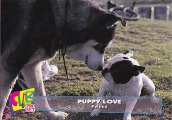 1993 Club Pro Set Puppy Love #3 Friend Front