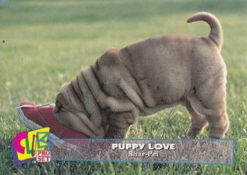 1993 Club Pro Set Puppy Love #5 Shar-Pei Front