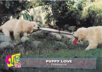 1993 Club Pro Set Puppy Love #6 Companion Front