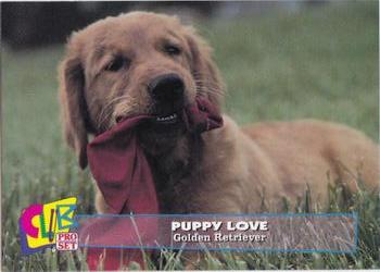1993 Club Pro Set Puppy Love #14 Golden Retriever Front
