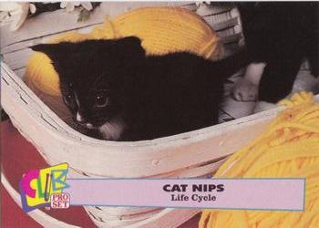 1992 Club Pro Set Cat Nips - Gold #3 Life Cycle Front