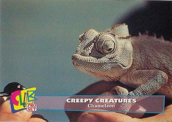 1992 Club Pro Set Creepy Creatures - Gold #15 Chameleon Front