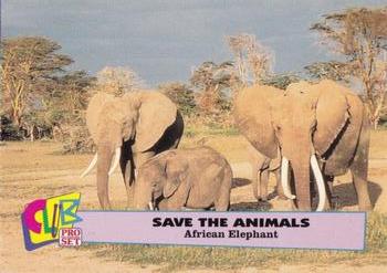 1992 Club Pro Set Save the Animals #6 African Elephant Front