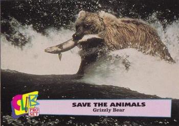 1992 Club Pro Set Save the Animals #1 Grizzly Bear Front