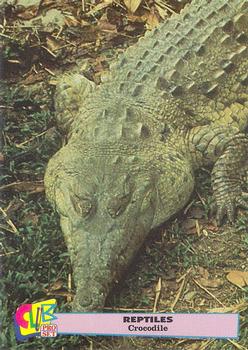1992 Smithsonian Institute Reptiles #3 Crocodile Front