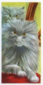 1957 Priory Tea Pets #7 Persian Cat Front