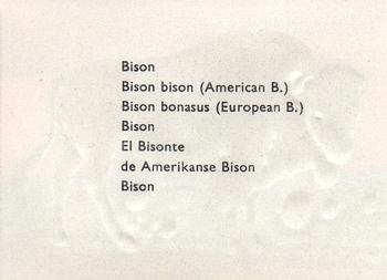 1957 Granose Foods Animal Life #NNO Bison Back