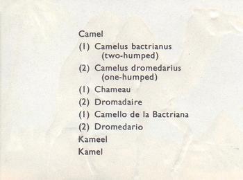 1957 Granose Foods Animal Life #NNO Camel Back