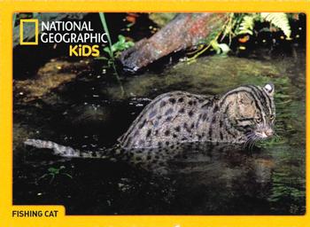 2018 National Geographic Kids June-July #NNO Fishing Cat Front