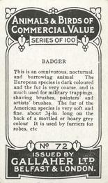 1921 Gallaher's Animals & Birds of Commercial Value #72 Badger Back