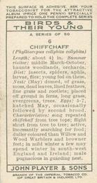 1937 Player's Birds & Their Young #6 Chiffchaff Back